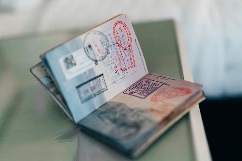 Pasaportes y documentos de viaje